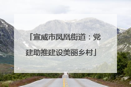 宣威市凤凰街道：党建助推建设美丽乡村