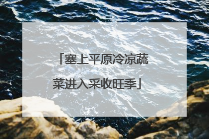 塞上平原冷凉蔬菜进入采收旺季