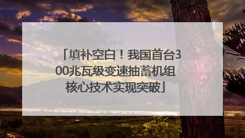 填补空白！我国首台300兆瓦级变速抽蓄机组核心技术实现突破