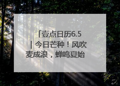 壹点日历6.5｜今日芒种！风吹麦成浪，蝉鸣夏始忙！大家早安