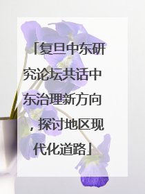 复旦中东研究论坛共话中东治理新方向，探讨地区现代化道路