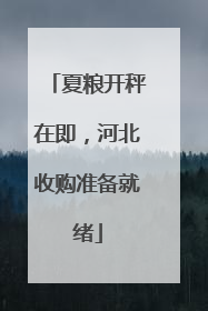 夏粮开秤在即，河北收购准备就绪