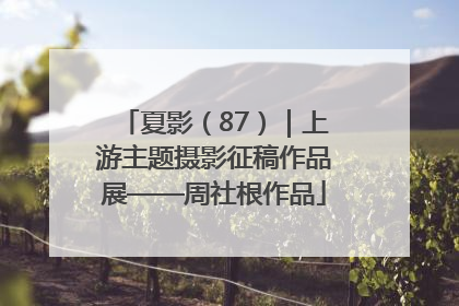 夏影（87）｜上游主题摄影征稿作品展——周社根作品
