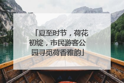夏至时节，荷花初绽，市民游客公园寻觅荷香雅韵