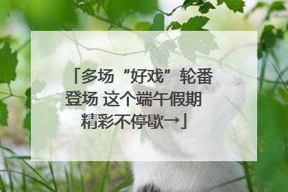 多场“好戏”轮番登场 这个端午假期精彩不停歇→
