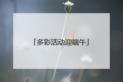 多彩活动迎端午