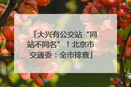 大兴有公交站“同站不同名”！北京市交通委：全市排查