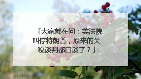 大家都在问：美法院叫停特朗普，原来的关税谈判都白谈了？