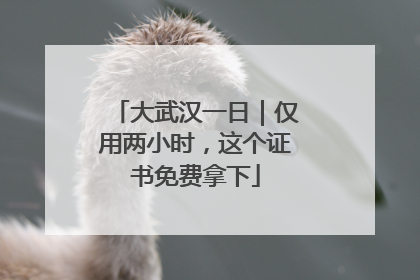 大武汉一日｜仅用两小时，这个证书免费拿下