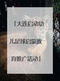 大连启动幼儿足球启蒙教育推广活动
