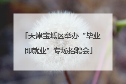 天津宝坻区举办“毕业即就业”专场招聘会