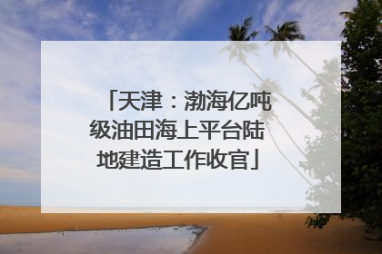 天津：渤海亿吨级油田海上平台陆地建造工作收官