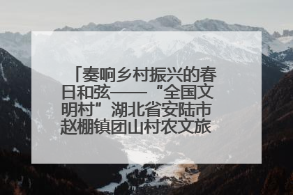 奏响乡村振兴的春日和弦——“全国文明村”湖北省安陆市赵棚镇团山村农文旅融合发展见闻