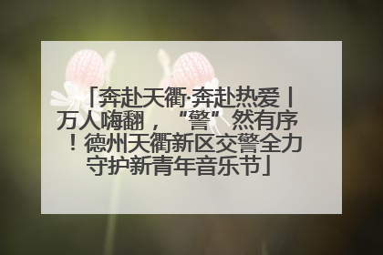 奔赴天衢·奔赴热爱丨万人嗨翻，“警”然有序！德州天衢新区交警全力守护新青年音乐节