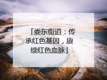 娄东街道：传承红色基因，赓续红色血脉