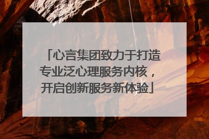心言集团致力于打造专业泛心理服务内核，开启创新服务新体验