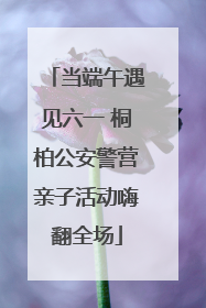 当端午遇见六一 桐柏公安警营亲子活动嗨翻全场