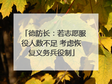 德防长：若志愿服役人数不足 考虑恢复义务兵役制