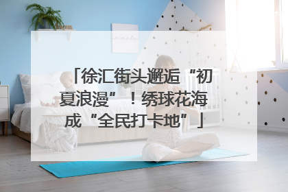 徐汇街头邂逅“初夏浪漫”！绣球花海成“全民打卡地”