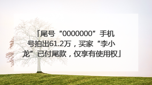 尾号“0000000”手机号拍出61.2万，买家“李小龙”已付尾款，仅享有使用权