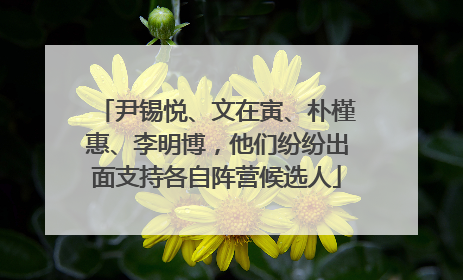尹锡悦、文在寅、朴槿惠、李明博，他们纷纷出面支持各自阵营候选人