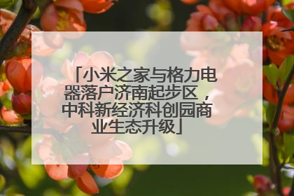 小米之家与格力电器落户济南起步区，中科新经济科创园商业生态升级