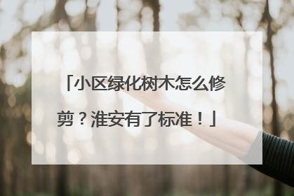 小区绿化树木怎么修剪？淮安有了标准！