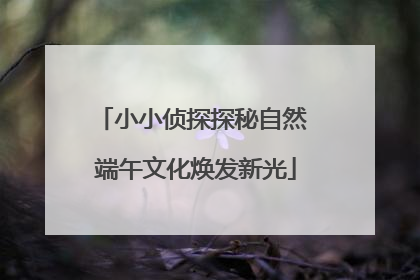 小小侦探探秘自然 端午文化焕发新光