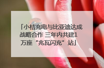小桔充电与比亚迪达成战略合作 三年内共建1万座“兆瓦闪充”站