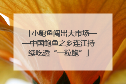 小鲍鱼闯出大市场——中国鲍鱼之乡连江持续吃透“一粒鲍”