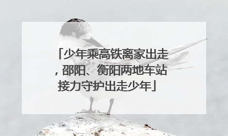 少年乘高铁离家出走，邵阳、衡阳两地车站接力守护出走少年
