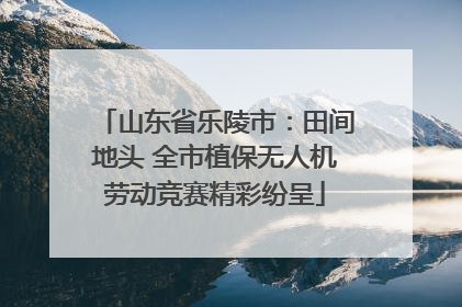 山东省乐陵市：田间地头 全市植保无人机劳动竞赛精彩纷呈