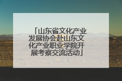 山东省文化产业发展协会赴山东文化产业职业学院开展考察交流活动