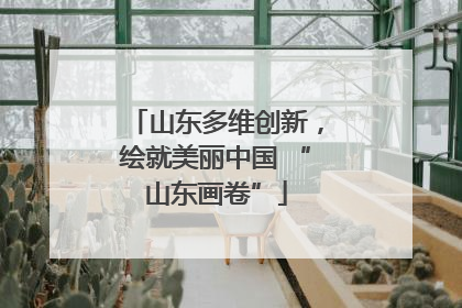 山东多维创新，绘就美丽中国 “山东画卷”