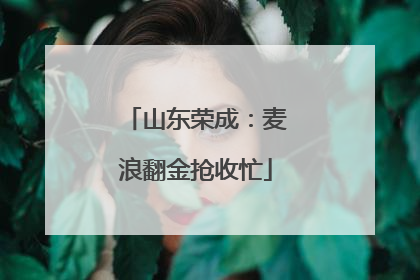 山东荣成：麦浪翻金抢收忙