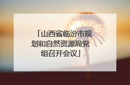 山西省临汾市规划和自然资源局党组召开会议