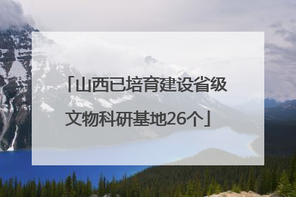 山西已培育建设省级文物科研基地26个
