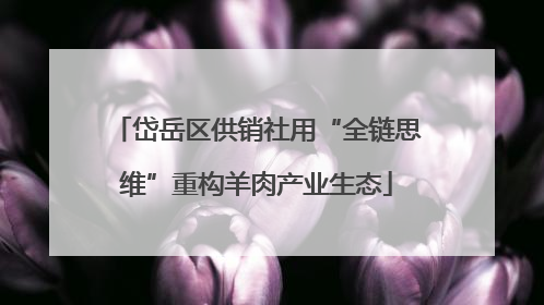 岱岳区供销社用“全链思维”重构羊肉产业生态