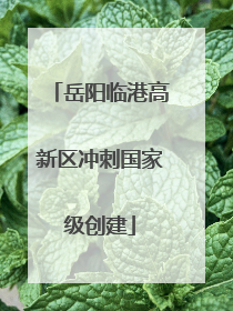 岳阳临港高新区冲刺国家级创建