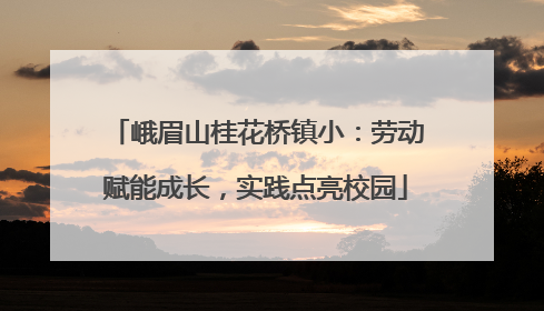 峨眉山桂花桥镇小：劳动赋能成长，实践点亮校园