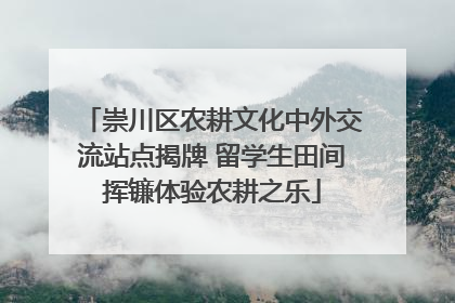 崇川区农耕文化中外交流站点揭牌 留学生田间挥镰体验农耕之乐
