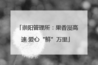 崇阳管理所：果香漫高速 爱心“鲜”万里
