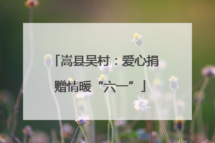 嵩县吴村：爱心捐赠情暖“六一”