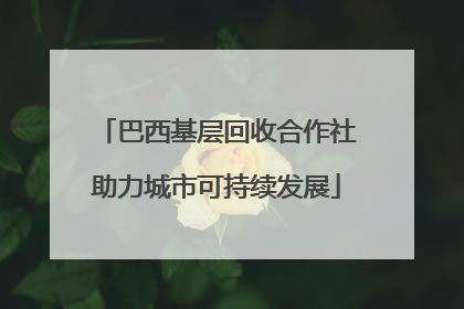 巴西基层回收合作社助力城市可持续发展