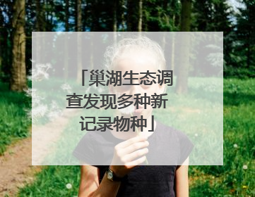 巢湖生态调查发现多种新记录物种