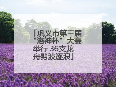 巩义市第三届“洛神杯”大赛举行 36支龙舟劈波逐浪
