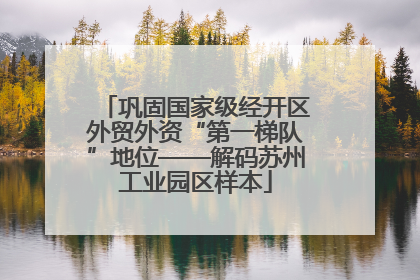 巩固国家级经开区外贸外资“第一梯队”地位——解码苏州工业园区样本