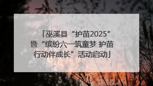 巫溪县“护苗2025”暨“缤纷六一筑童梦 护苗行动伴成长”活动启动