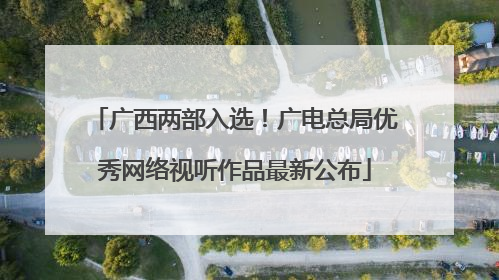 广西两部入选！广电总局优秀网络视听作品最新公布