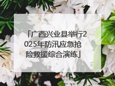 广西兴业县举行2025年防汛应急抢险救援综合演练